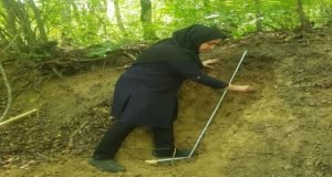 طبقه بندی و شناسایی خاک جنگل های هیرکانی به همت محققان مرکز تحقیقات و آموزش گلستان