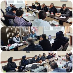 کارگاه آموزشی ایمن سازی واحد های بهداشتی استان برگزار شد