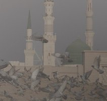 مجلس عزاداری فاطمیه اول و مراسم یادبود و بزرگداشت شهدای غزه