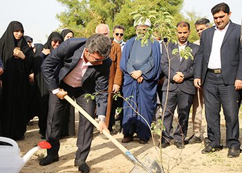 به مناسبت روز دانشجو انجام شد؛
کاشت نهال در پویش "هر ایرانی یک درخت"/ گزارش تصویری