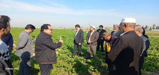 برگزاری کارگاه آموزشی “داشت چغندرقند” در واحد آموزش شهید روحانی فرد کردکوی