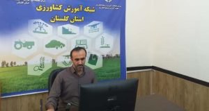 برگزاری وبینار آموزشی شناسایی و مدیریت بیماری های گندم در دوره داشت