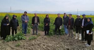 بازدید محققان مرکز تحقیقات و آموزش گلستان از برنامه‌های ایستگاه تحقیقات کشاورزی گنبدکاووس