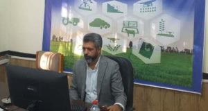 وبینار آموزشی شناسایی و مدیریت بیماری های گردو