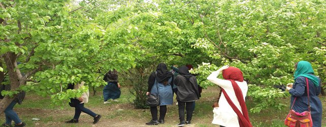 اردوی یک روزه بهارانه با حضور دانشجویان تهران و کرج در پردیس بین المللی فارابی برگزار شد