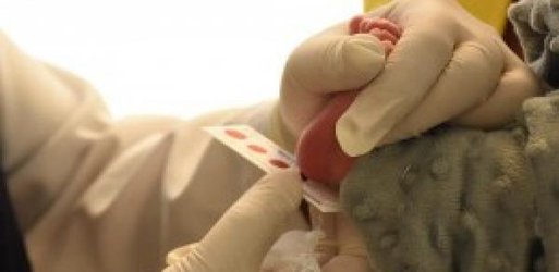 ‍ پیشگیری از ناتوانی ذهنی ۲۸ نوزاد در جمعیت تحت پوشش دانشگاه علوم پزشکی نیشابور