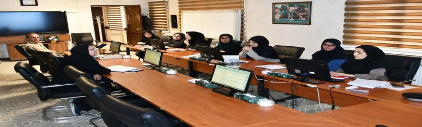دومین کمیته بهداشت قرارگاه جوانی جمعیت در مرکز بهداشت استان