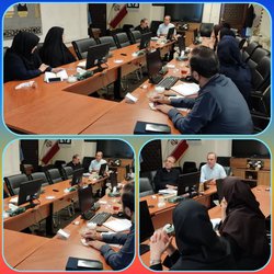 شورای راهبردی تدوین برنامه عملیاتی در مرکز بهداشت استان برگزار شد