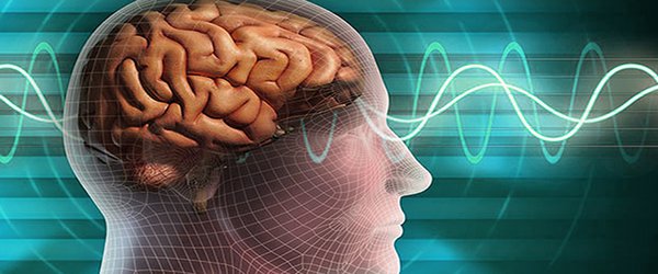 دستاورد جدید محققان دانشگاهی: پیش بینی حمله های صرعی از روی سیگنال های مغزی سطحی