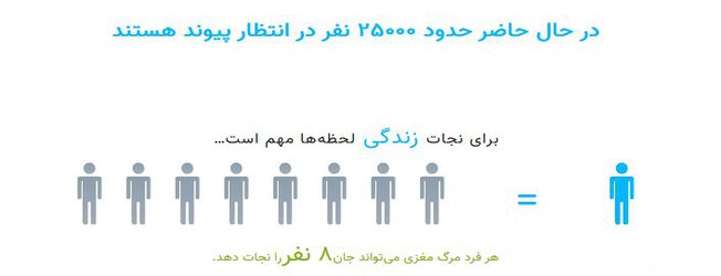 زنده یاد معصومه باغشنی پانزدهمین جانبخش نیشابوری زندگی بخش شد