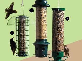 These bird feeders won’t get raided by squirrels