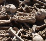 Oldest genetic evidence of Hepatitis B virus found in ancient DNA from 4,500 year-old skeletons