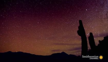 Stephen Hawking's Stark Warning for Humans to Leave Earth