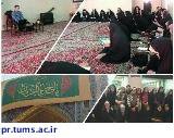 اردوی فرهنگی، زیارتی مشهد مقدس برگزار شد
