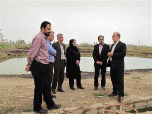 بازدید رئیس و معاون موسسه تحقیقات علوم شیلاتی کشور از مراحل اجرایی طرح ملی اصلاح نژاد ماهی کپور