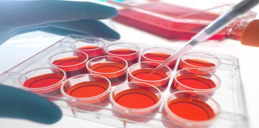 مرکز توسعه فناوری محصولات پیشرفته سلولی رویان افتتاح شد