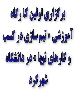برگزاری اولین کارگاه آموزشی « تیم سازی در کسب و کارهای نوپا » در دانشگاه شهرکرد
