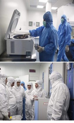 نخستین کارخانه تولید انبوه فرآورده های سلولی غرب آسیا در ایران به بهره برداری رسید