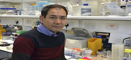 ﻿Sacked Japanese biologist gets chance to retrain at Crick institute
