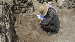 This ancient skeleton suggests humans were riding donkeys nearly 5000 years ago