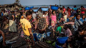 Despite spread to port city, Congo Ebola outbreak isn’t an international emergency yet, WHO says