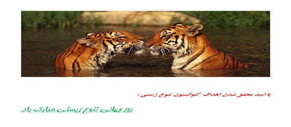 اول خرداد، روز جهانی تنوع زیستی/ جشنی برای ۱٫۷۵ میلیون گونه جانداران