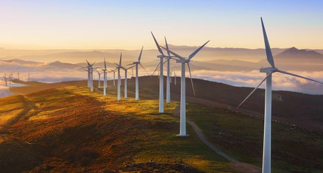 Green bond use signals growing environmental focus says Imperial report 