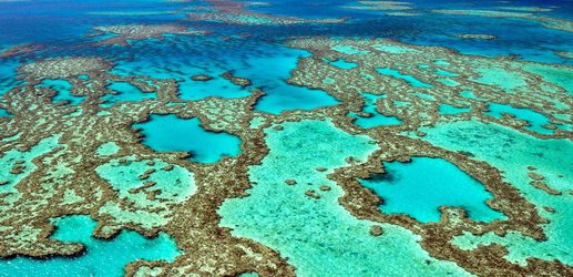 The Great Barrier Reef has died 5 times in the last 30,000 years