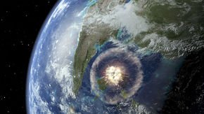 Life rebounded just years after the dinosaur-killing asteroid struck