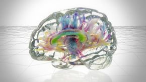 These stunning 3D models are transforming scientists’ raw data