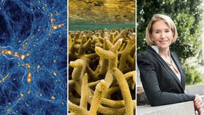 Top stories: simulating galaxies, Great Barrier die-offs, and combating sexual harassment