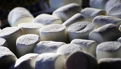 Why Delayed Gratification in the Marshmallow Test Doesn’t Equal Success
