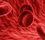 Scientists create ‘genetic atlas’ of proteins in human blood