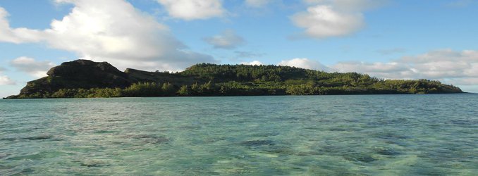 Rat Bones Reveal How Humans Transformed Their Island Environments