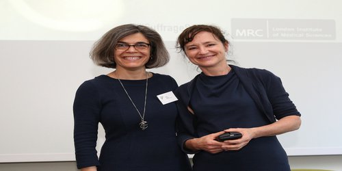 Leading UCL neuroscientist honoured for brain imaging research