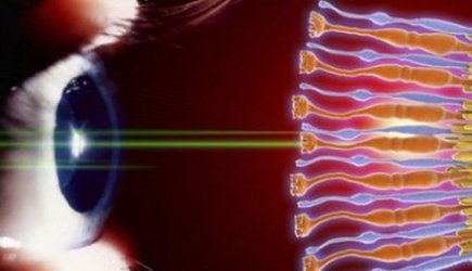 گام تازه محققان کشور در سلول درمانی ناهنجاری‌های شبکیه