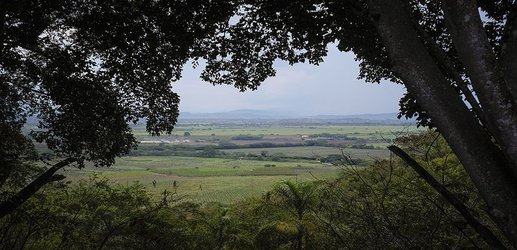 FARC and the forest: Peace is destroying Colombia’s jungle — and opening it to science