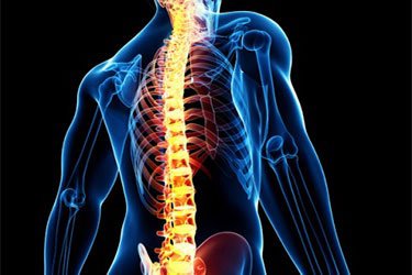 پیش‌بینی خطر شکستگی استخوان و مهره‌های ستون فقرات با راهکار محققان دانشگاهی