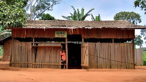 After a bar opens, the Baka pygmies of Cameroon have fewer babies