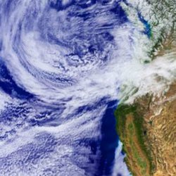 Weighing the Planet's Biological Matter