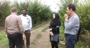 گزارش فنی محققان معین مرکز تحقیقات و آموزش گلستان در شهرستان علی آباد کتول