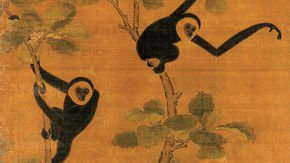 Vanished ape found in ancient Chinese tomb, giving clues to its disappearance