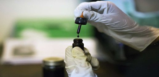 Cannabis oil: what is it and does it really work as medicine?