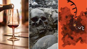 Top stories: tanked alcohol trial, Aztec human sacrifice, and speedy gene construction