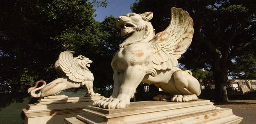 The Stanford griffins return to public view