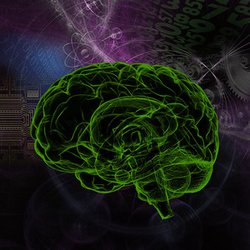 Caltech Scientists Can Predict Intelligence from Brain Scans