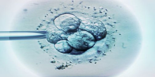 Australia moves a step closer to ‘three-person IVF’