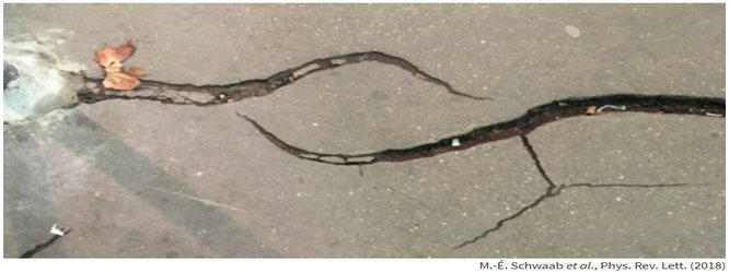 چرا برخی تَرَک‌ها یکدیگر را دفع می‌کنند؟