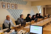 اعضای گروههای تخصصی صنعت، کشاورزی، مدیریت و خدمات اجتماعی و فرهنگ و هنر انتخاب شدند