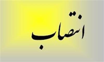 رئیس دبیرخانه هیات جذب دانشگاه منصوب شد